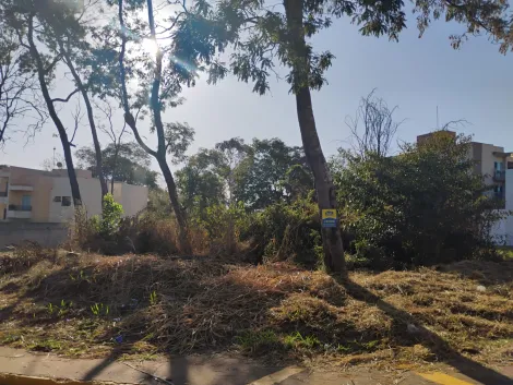 imagem 2 - Terreno - Padrão imagem 2 - Terreno - Padrão