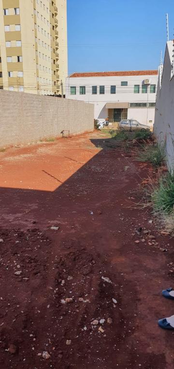 imagem 1 - Terreno - Área imagem 1 - Terreno - Área