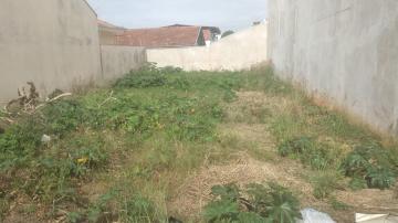 imagem 2 - Terreno - Padrão imagem 2 - Terreno - Padrão