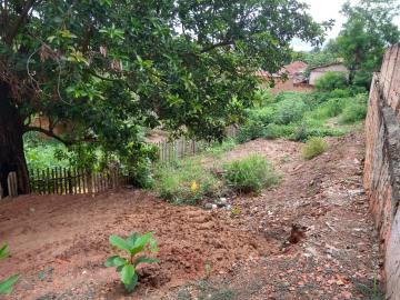 imagem 3 - Terreno - Padrão imagem 3 - Terreno - Padrão