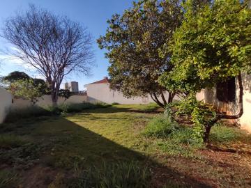Alugar Casa / Residencia em Jaú R$ 7.000,00 - Foto 9 Alugar Casa / Residencia em Jaú R$ 7.000,00 - Foto 9