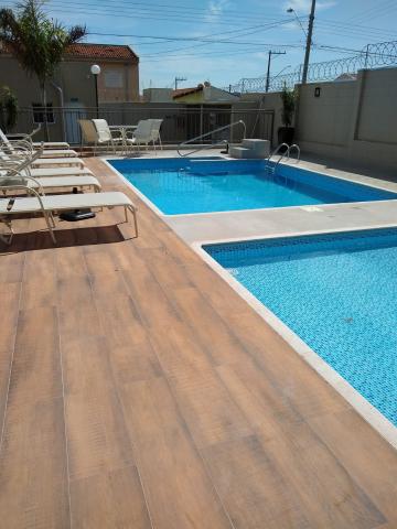 imagem 2 - Apartamento - Padrão imagem 2 - Apartamento - Padrão