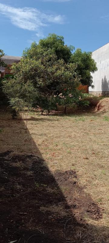 imagem 2 - TERRENO PLANO OTIMA LOCALIZAÇÃO imagem 2 - TERRENO PLANO OTIMA LOCALIZAÇÃO