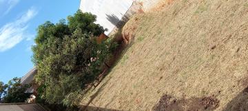 imagem 3 - TERRENO PLANO OTIMA LOCALIZAÇÃO imagem 3 - TERRENO PLANO OTIMA LOCALIZAÇÃO
