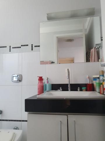 imagem 5 - SALVAGIO imagem 5 - SALVAGIO