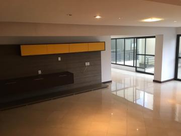 imagem 1 - SALVAGIO imagem 1 - SALVAGIO