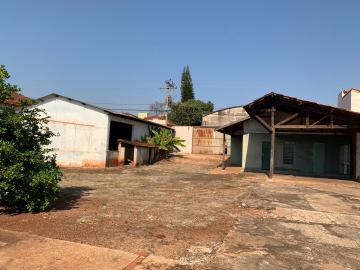 imagem 5 - Terreno - Padrão imagem 5 - Terreno - Padrão