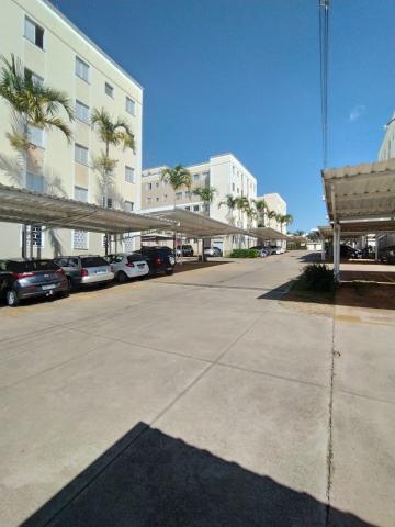 imagem 2 - Apartamento - Padrão imagem 2 - Apartamento - Padrão