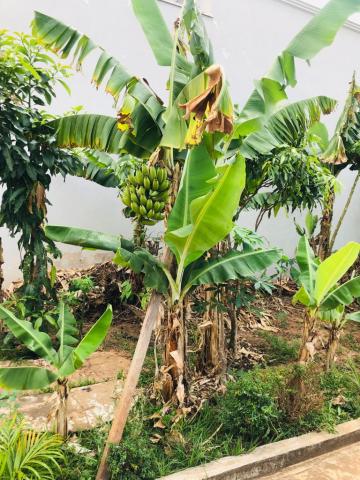 imagem 5 - Casa - Padrão imagem 5 - Casa - Padrão