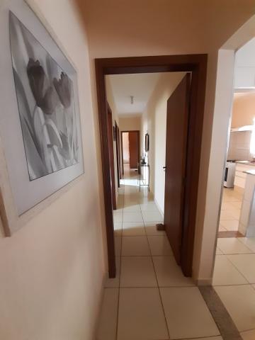 imagem 5 - Casa - Padrão imagem 5 - Casa - Padrão