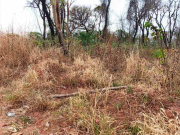 imagem 1 - Terreno - Padrão imagem 1 - Terreno - Padrão
