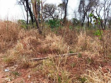 Alugar Terreno / Padrão em Bauru. apenas R$ 300.000,00