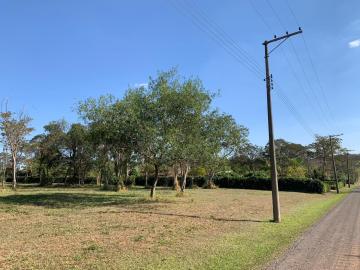 imagem 4 - Lote excelente no PALMAS DEL REY! imagem 4 - Lote excelente no PALMAS DEL REY!