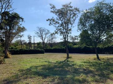 imagem 5 - Lote excelente no PALMAS DEL REY! imagem 5 - Lote excelente no PALMAS DEL REY!