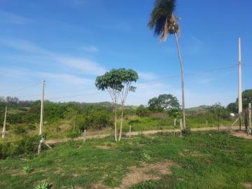 imagem 1 - Rural - Sitio imagem 1 - Rural - Sitio