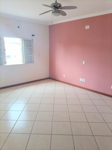 imagem 3 - Casa - Padrão imagem 3 - Casa - Padrão