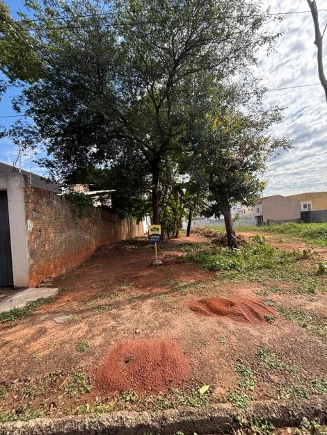 imagem 4 - Terreno - Padrão imagem 4 - Terreno - Padrão