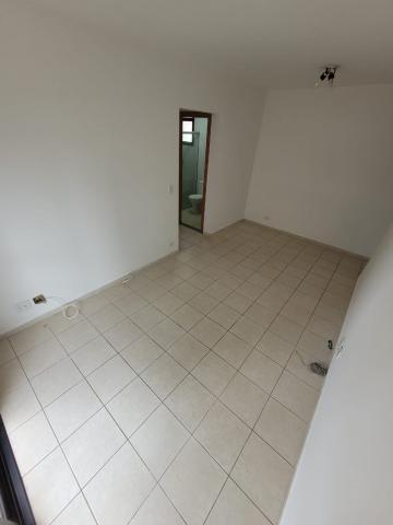 imagem 3 - Apartamento - Padrão imagem 3 - Apartamento - Padrão