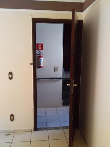 imagem 2 - Apartamento - Padrão imagem 2 - Apartamento - Padrão