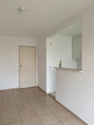 imagem 5 - SPAZIO BENFICA, apartamento próximo da UNISAGRADO! imagem 5 - SPAZIO BENFICA, apartamento próximo da UNISAGRADO!
