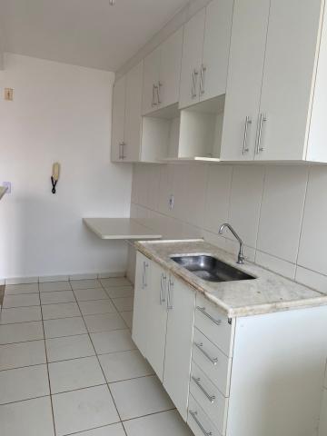 SPAZIO BENFICA, apartamento próximo da UNISAGRADO!