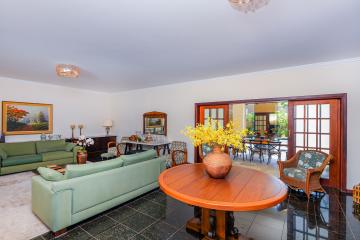 imagem 2 - Samambaia imagem 2 - Samambaia