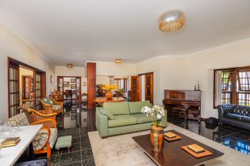 imagem 3 - Samambaia imagem 3 - Samambaia