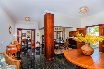 imagem 4 - Samambaia imagem 4 - Samambaia