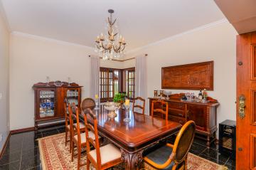 imagem 5 - Samambaia imagem 5 - Samambaia