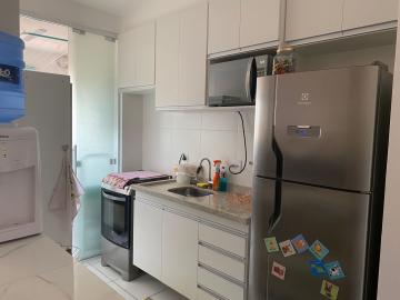 Alugar Apartamento / Padrão em Bauru. apenas R$ 390.000,00