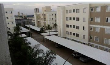 imagem 1 - BORGHESI imagem 1 - BORGHESI