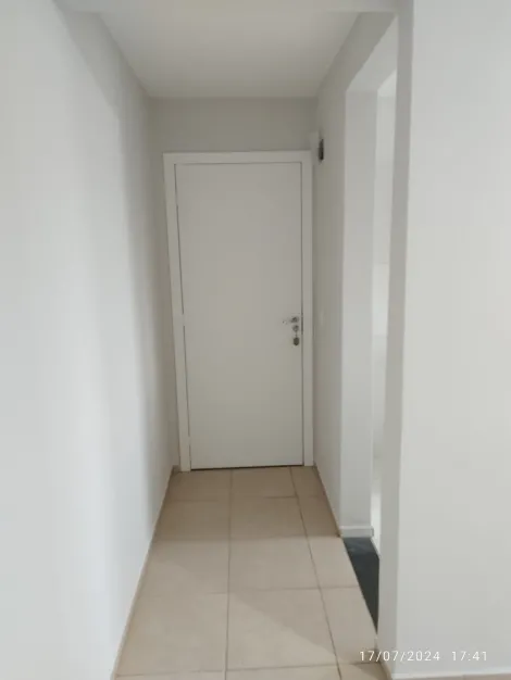 imagem 3 - BORGHESI imagem 3 - BORGHESI