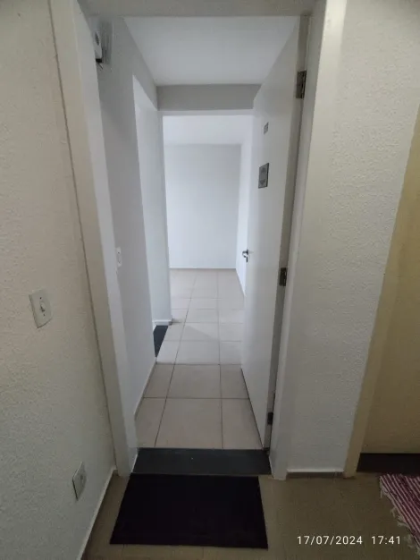 imagem 2 - BORGHESI imagem 2 - BORGHESI