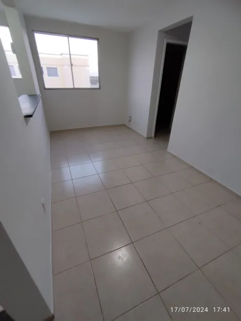 imagem 4 - BORGHESI imagem 4 - BORGHESI