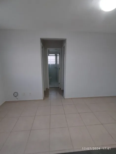 imagem 5 - BORGHESI imagem 5 - BORGHESI