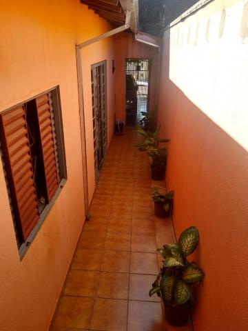 imagem 5 - Casa - Padrão imagem 5 - Casa - Padrão