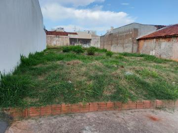imagem 1 - Terreno - Padrão imagem 1 - Terreno - Padrão