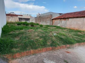 imagem 2 - Terreno - Padrão imagem 2 - Terreno - Padrão
