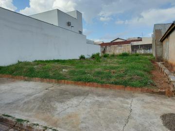 imagem 3 - Terreno - Padrão imagem 3 - Terreno - Padrão