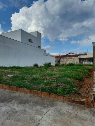 imagem 4 - Terreno - Padrão imagem 4 - Terreno - Padrão