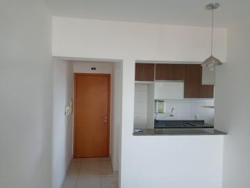 imagem 4 - Apartamento - Padrão imagem 4 - Apartamento - Padrão