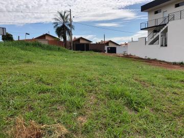 imagem 2 - Terreno - Padrão imagem 2 - Terreno - Padrão