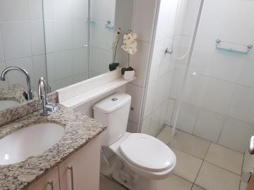 imagem 5 - BELVEDERE imagem 5 - BELVEDERE