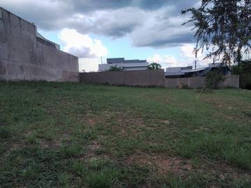 imagem 1 - VILLAGE CAMPO NOVO imagem 1 - VILLAGE CAMPO NOVO