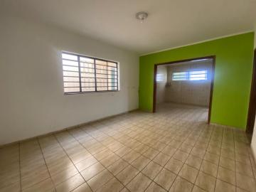imagem 5 - Casa - Padrão imagem 5 - Casa - Padrão