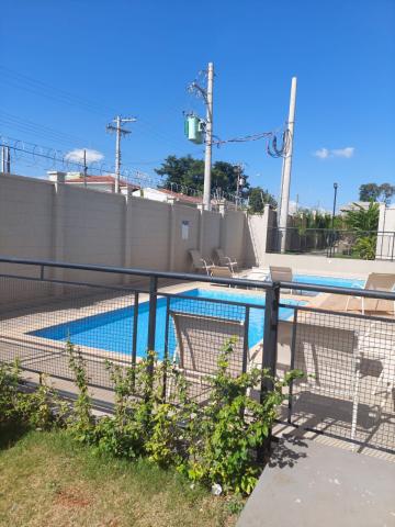 imagem 2 - RESERVA COLONIAL imagem 2 - RESERVA COLONIAL