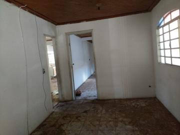 imagem 4 - Casa - Padrão imagem 4 - Casa - Padrão