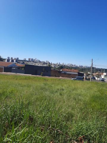 Alugar Terreno / Padrão em Bauru. apenas R$ 169.000,00