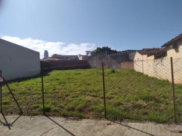 imagem 1 - Terreno - Padrão imagem 1 - Terreno - Padrão