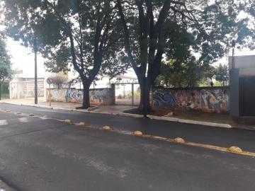 imagem 1 - Terreno - Padrão imagem 1 - Terreno - Padrão